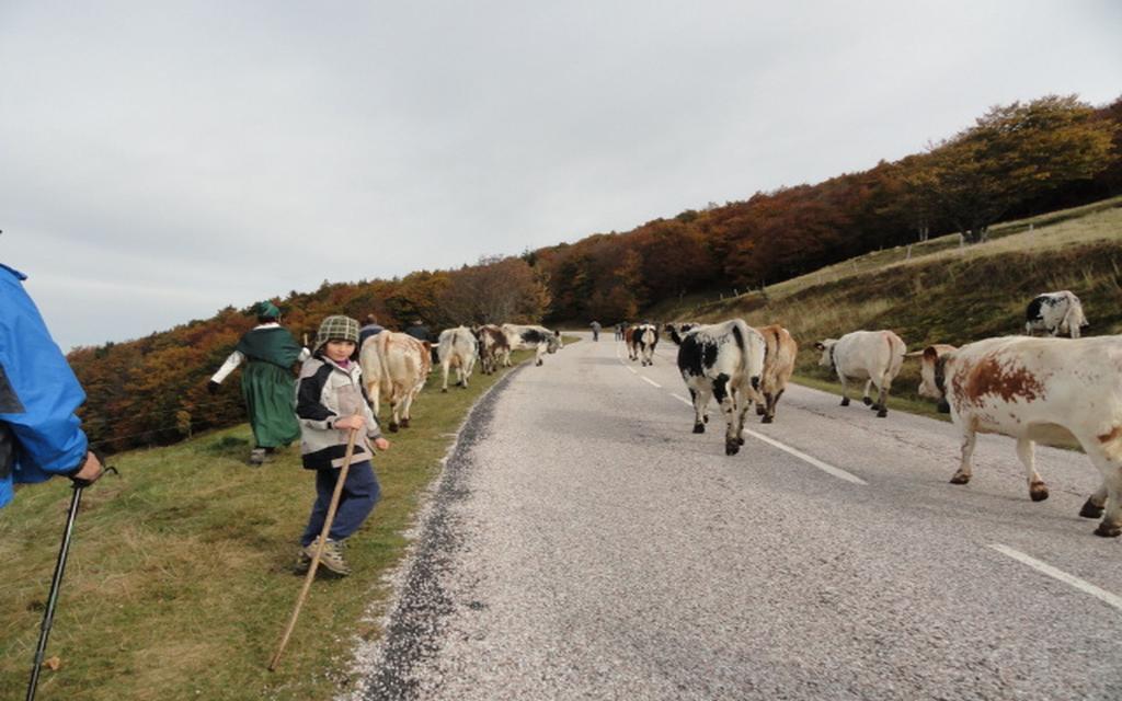 Les Chantenees La Bresse Kültér fotó