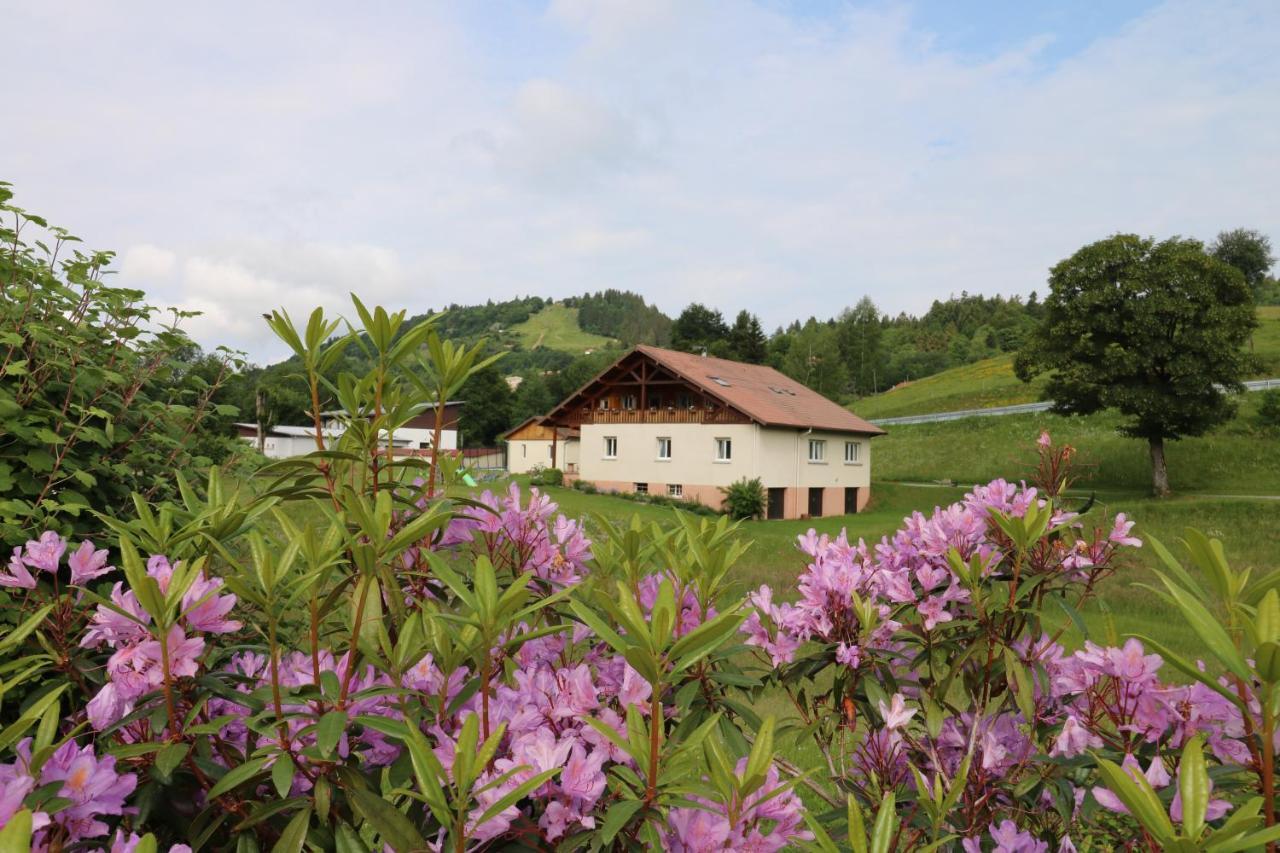 Les Chantenees La Bresse Kültér fotó